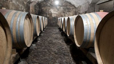 Vineyard and Cellars